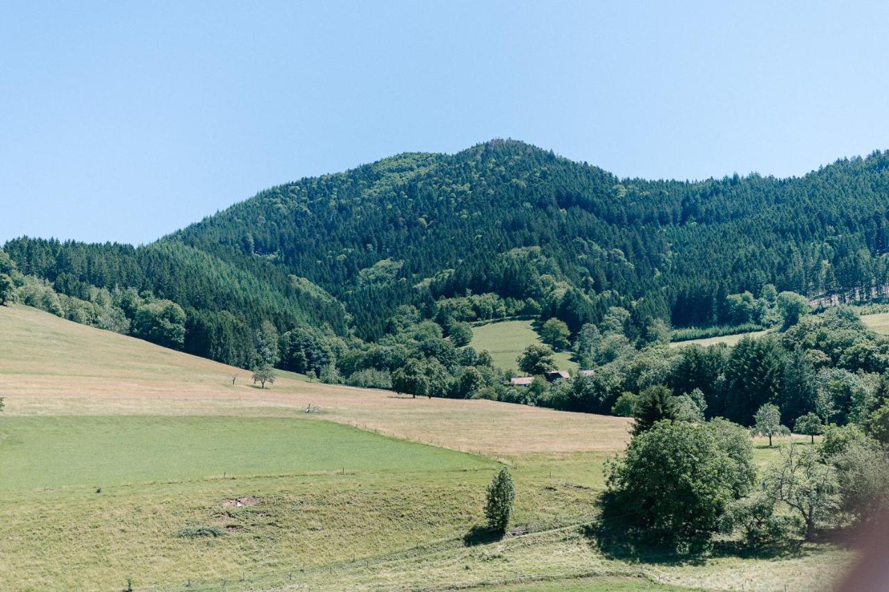 Rustikale 3 Zi.-Fewo Naehe Freiburg 70Qm Simonswald Dış mekan fotoğraf